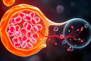 Cellular Respiration and Organelles