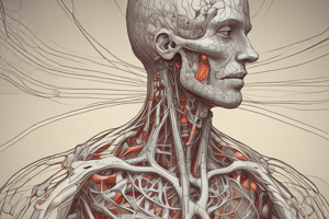 Physiology of Reflexes