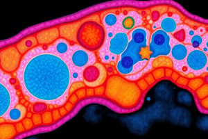 Epithelial Tissue Overview