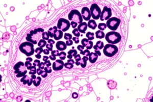 Histology and Its Methods of Study