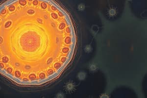 Cell Biology: Prokaryotic vs Eukaryotic Cells