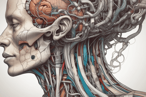 Anatomy of Head & Neck: Blood Supply and Venous Drainage