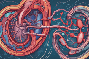 Acute Kidney Injury Phases