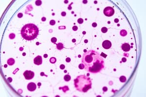 Microorganism Staining Techniques and Culture Media