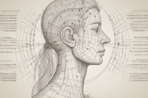 Acupuncture for Facial Muscles and Wrinkles