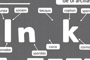 Spanish Linking Words Flashcards