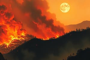 Los Angeles Wildfires 2025