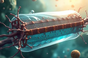 Cell Membrane Structure and Transport