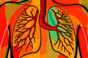 Biology Circulatory and Respiratory Systems