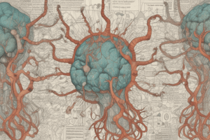 Neurotransmitter Interactions and Regulation