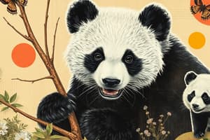 Panda Conservation Status and Challenges