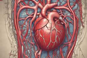 Cardiovascular System: Blood Anatomy and Physiology