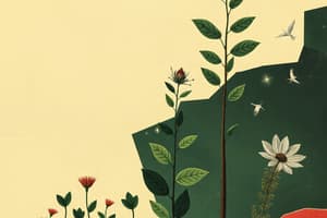 El mundo de las plantas y su importancia