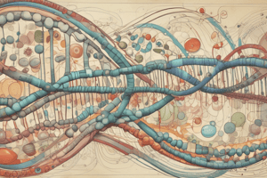 Termination of Protein Synthesis