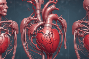 Cardiovascular Anatomy and Physiology