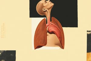 Embryology L9: Respiratory System