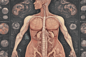 Endocrine System: Hormones and Glands