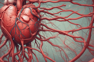 Aging Changes in the Cardiac Arterial System