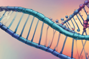 DNA Replication Process