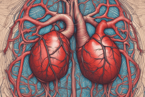 Cardiovascular System Overview