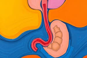 Upper GI System Disorders: Dysphagia Overview