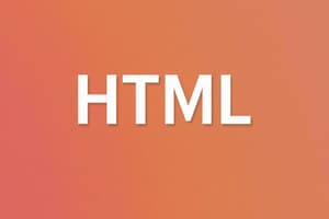 HTML Кіріспе Тест