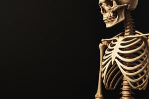 Osteology and Bone Structure Quiz