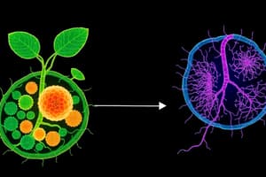 Biology: Cell Processes Quiz