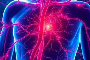 Cell biology - Endothelial Cells