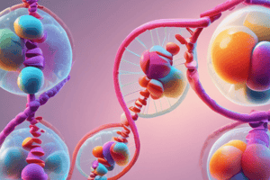 Cell Division and DNA Content Quiz