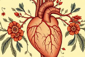 Cardiovascular System 2