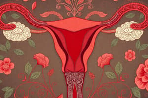 Ciclo Menstrual: Fases y Hormonas