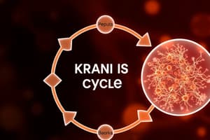 Citric Acid Cycle: Energy Metabolism