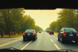 Driving: Basic Maneuvers and Lane Changes