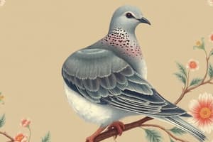 Mourning Dove Biological Facts