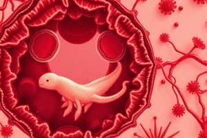 Blood Cell Morphology and Parasites Quiz