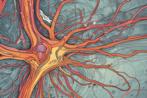 Neural Pathways of Taste