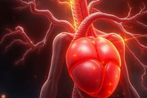 Nierfysiologie week 3: Functionele anatomie van de nieren