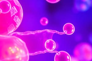 Cell Membranes Overview