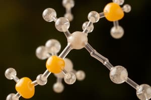 Carbohydrate Chemistry Overview