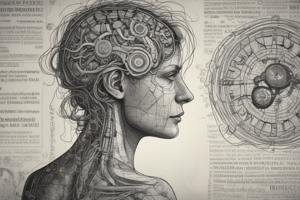 Neurolaw: Eyewitness Testimony and Lie Detection