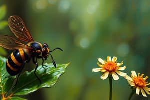 Insects and Ecosystems Quiz