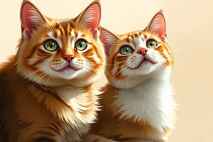 Cat Facts and Behavior Quiz