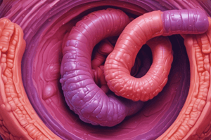 Ulcerative Colitis Overview