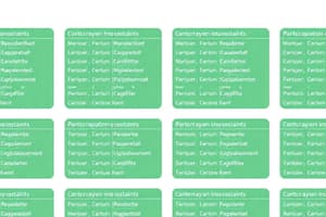 Database Relationships and Attributes Quiz