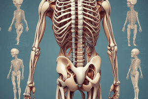 Musculoskeletal Injuries and System