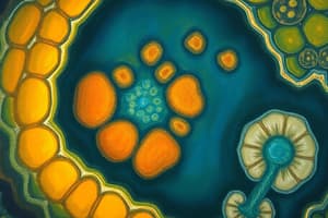 Cell Structure and Organelles