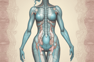 Pelvic Stability and Vertebral Column