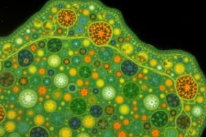 Plasma Membrane Functions and Structure