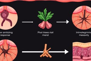 Mod1 Phases of Wound Healing